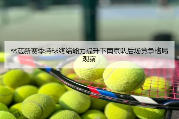 林葳新赛季持球终结能力提升下南京队后场竞争格局观察